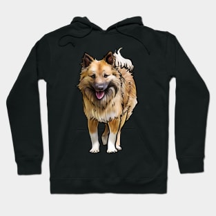 Icelandic Sheepdog Dog Hoodie